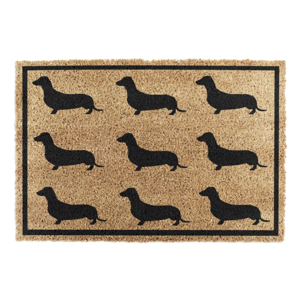 Predpražnik iz kokosovih vlaken 40x60 cm Dachshund