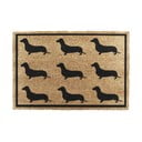 Predpražnik iz kokosovih vlaken 40x60 cm Dachshund – Artsy Doormats
