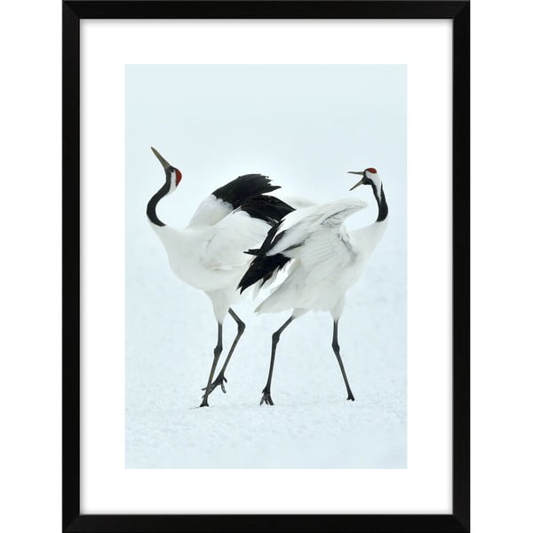 Plakat 30x40 cm Dancing Herons