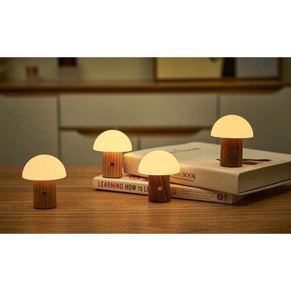 LED zatemnitvena namizna svetilka iz masivnega jesena v naravni barvi (višina 7 cm) Alice – Gingko-image-1
