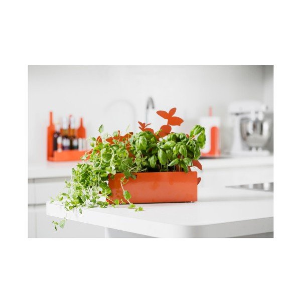 Stojalo za zelišča Zelišča, oranžna-image-2