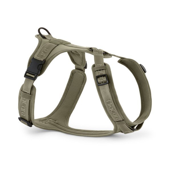 Zelena oprsnica velikosti L dolžina 42 cm Modena Grolive L – MiaCara