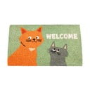 Predpražnik iz kokosovih vlaken 73x43 cm Nine Lives - Rex London