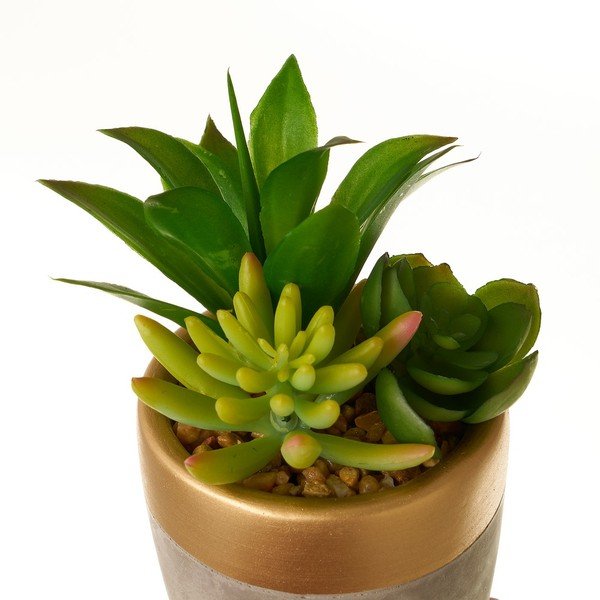 Umetne rastline v kompletu 4 ks (višina 17 cm) Cactus – Casa Selección-image-4
