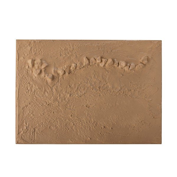 Slika 50x70 cm Sisken – Bloomingville-image-4