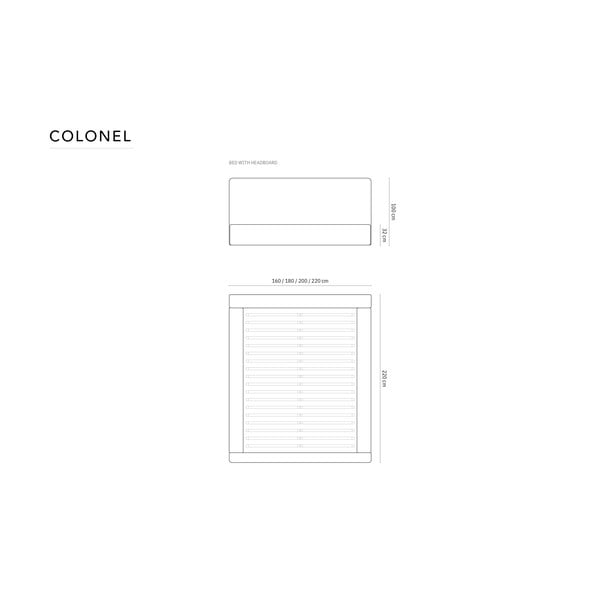 Svetlo siva oblazinjena zakonska postelja s prostorom za shranjevanje in letvenim dnom 140x200 cm Colonel – Cosmopolitan Design-image-4