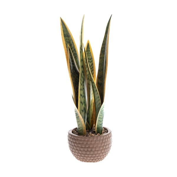 Umetna rastlina (višina 35 cm) – Dakls