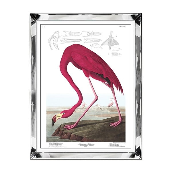 Stenska slika JohnsonStyle Flamingo, 71 x 91 cm