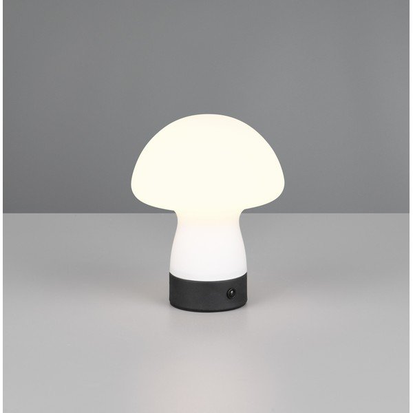 Mat bela LED namizna svetilka s steklenim senčilom (višina 18 cm) Dooley – Reality-image-1