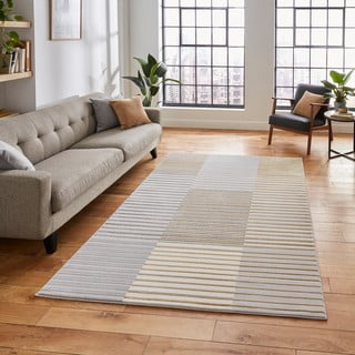 Siva/zlata preproga 170x120 cm Apollo - Think Rugs