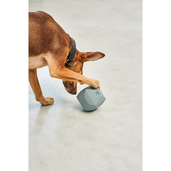 Igrača za pse Dado Eucalyptus – MiaCara-image-2