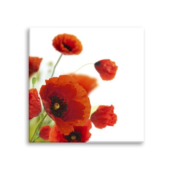 Slika Styler Glas Maki Maki, 30 x 30 cm