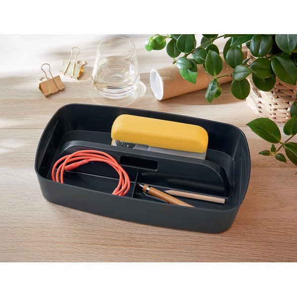 Siv organizator z ročajem Leizt MyBox-image-2