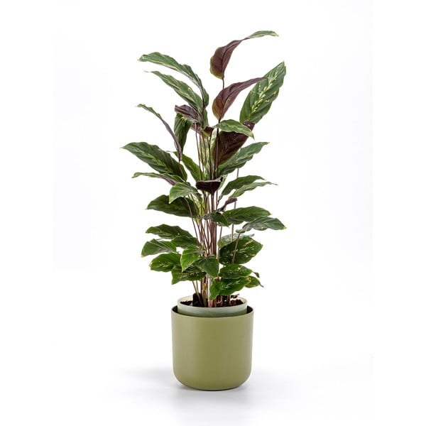 Zelen samozalivalni cvetlični lonček Plastia Tolita, ø 16 cm-image-1