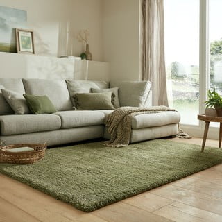Zelena preproga 160x230 cm – Flair Rugs