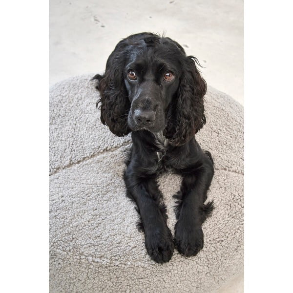 Siva bouclé podloga za pse ø 90 cm Senso Pouffe Pebble M/L – MiaCara-image-2