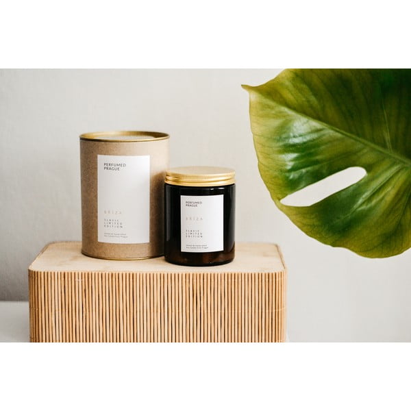 Dišeča sveča iz sojinega voska čas gorenja 40 h Slavic Edition: #01 Birch – Perfumed Prague-image-3