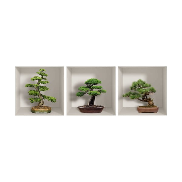 Komplet 3 3D stenskih nalepk Ambiance Bonzais-image-2