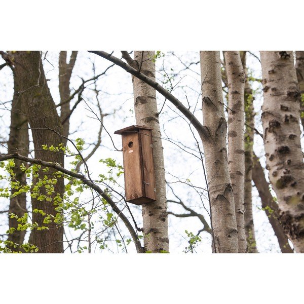 Lesena ptičja hišica – Esschert Design-image-1