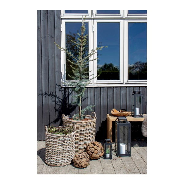 Komplet 2 košar iz ratana House Nordic Indo-image-2