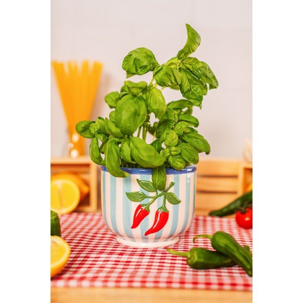 Keramičen ročno poslikan okrasni cvetlični lonec ø 12 cm Chilli – Sass & Belle-image-1