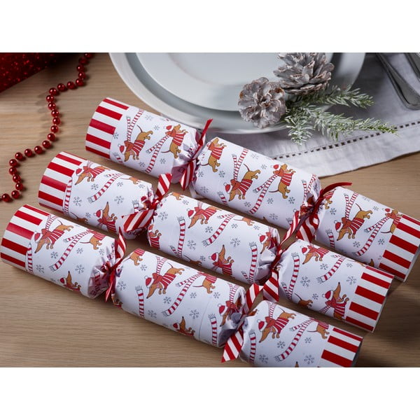 Božične pokalice v kompletu 6 ks Racing Sausage Dog – Robin Reed-image-1