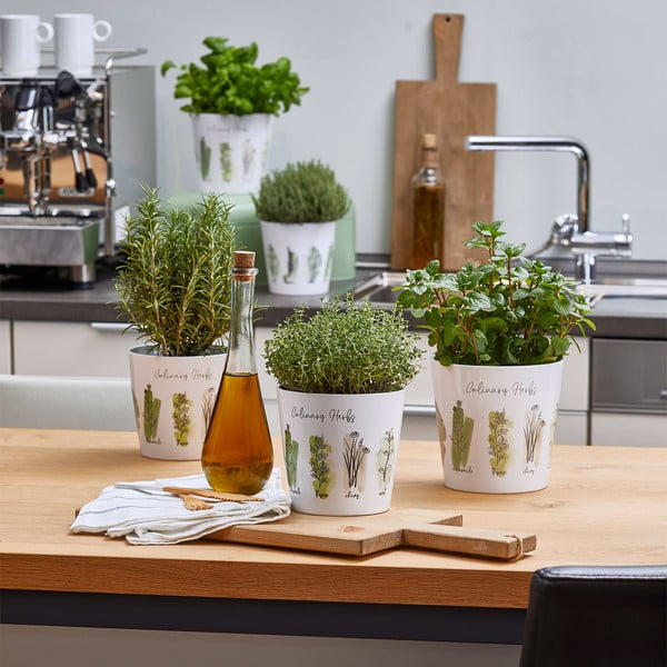 Keramični lončki za zelišča v kompletu 2 kos ø 14 cm Dalllas Culinary - Big pots-image-2