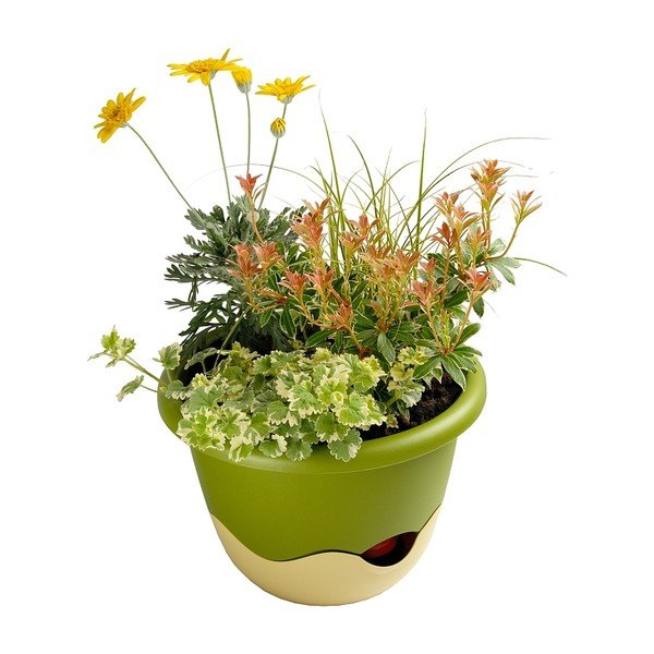 Zeleno-bel samozalivalni cvetlični lonček Plastia Mareta, dolžina 25 cm-image-2
