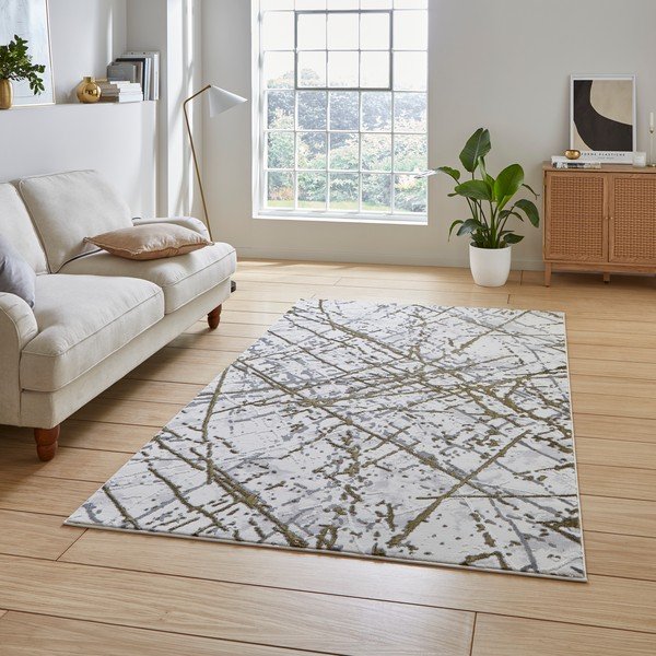 Svetlo siva/zlata preproga 80x150 cm Artemis – Think Rugs-image-1