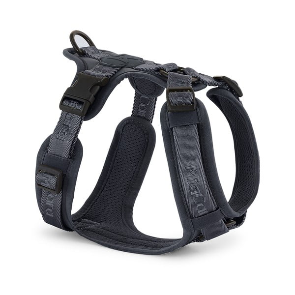 Temno siva oprsnica velikosti XS dolžina 25 cm Modena Asphalt XS – MiaCara