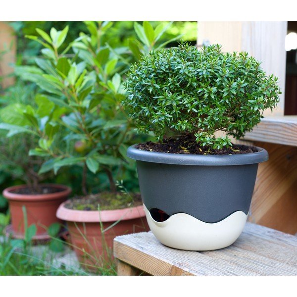 Modro-bel samozalivalni cvetlični lonček Plastia Mareta, dolžina 30 cm-image-1