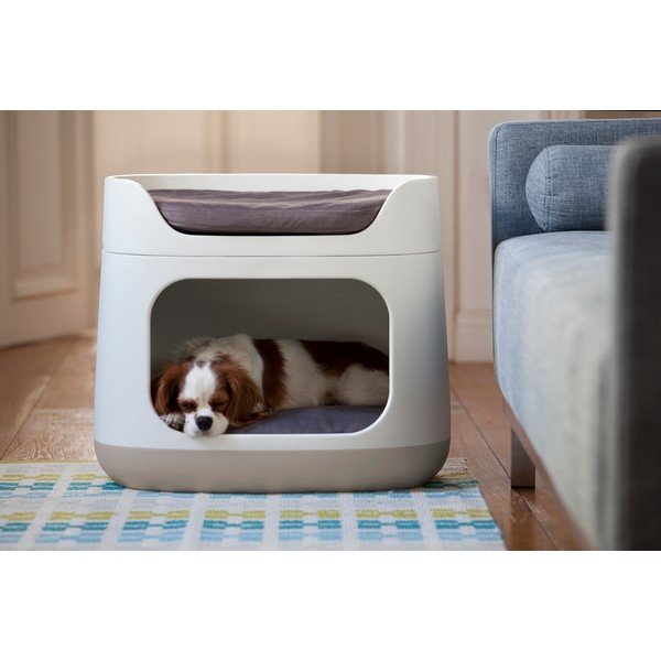Bež postelja za mačke in pse Curver Bunkbed-image-1