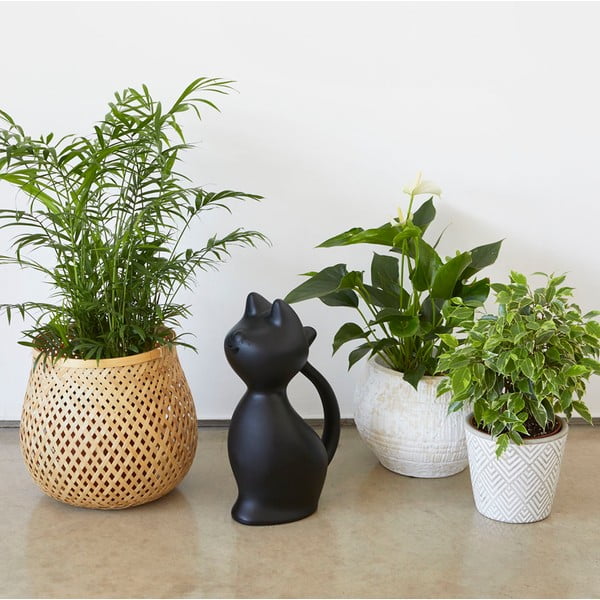 Plastična zalivalka 2 l Meow – Balvi-image-1