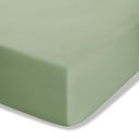 Zelena napenjalna rjuha iz perkala 90x190 cm Easy Iron Percale – Catherine Lansfield