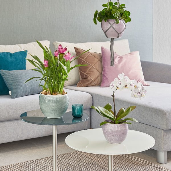 Keramični lonček ø 22 cm Manacor Deluxe - Big pots-image-1