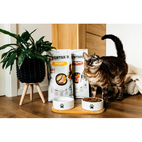 Keramičen komplet posod za pse s podstavkom ø 13 cm Dog Fantasy – Plaček Pet Products-image-1