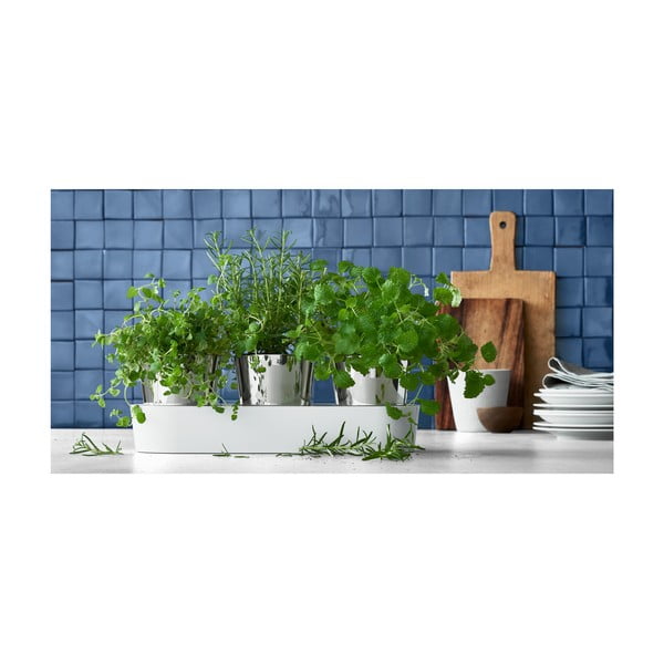 Komplet 3 loncev iz nerjavečega jekla za zelišča WMF Gourmet-image-1