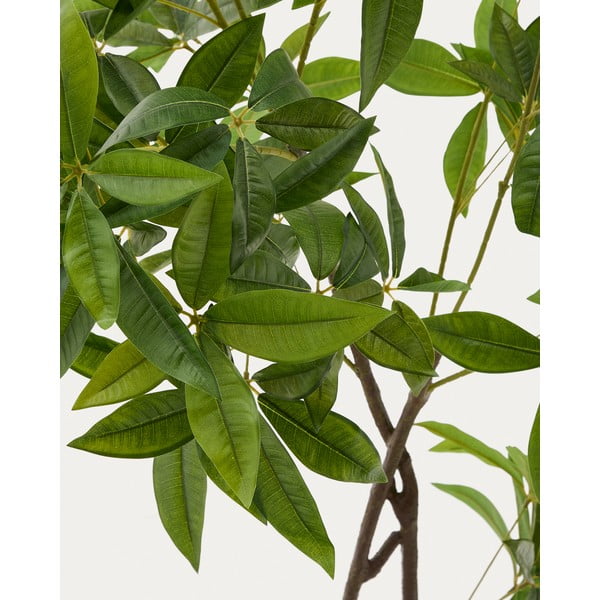 Umetna rastlina (višina 180 cm) Pachira – Kave Home-image-1
