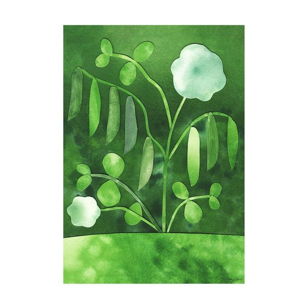 Plakat 50x70 cm Peas in Bloom – Anna Ravn Bjørn – The Poster Club