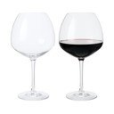 Kozarci za vino v kompletu 2 kos 930 ml Premium - Rosendahl