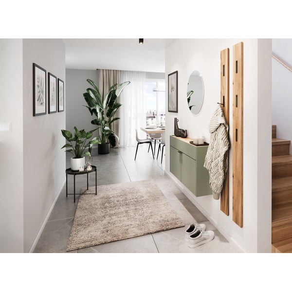 Žajbljevo zelena omarica 110x57x22 cm Ameca – Germania-image-1