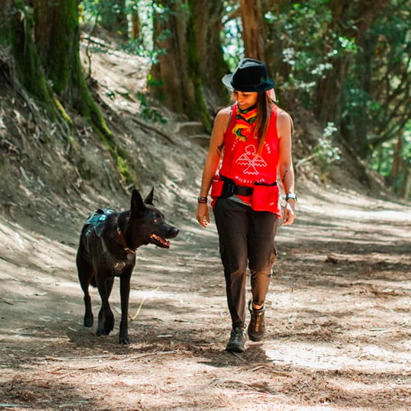 Torbica za okoli pasu Explorer Pack Lava - P.L.A.Y.-image-3