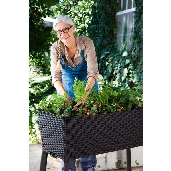 Korito za rože Easy Grow – Keter-image-3