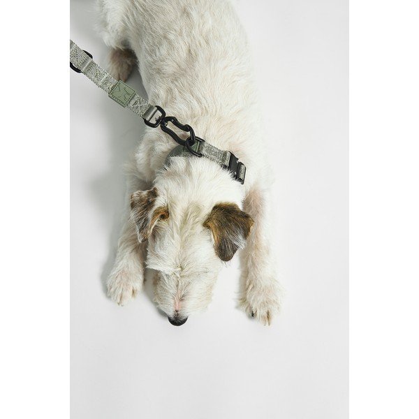 Zelena ovratnica velikosti S/M dolžina 32 cm Modena Grolive S/SM – MiaCara-image-1