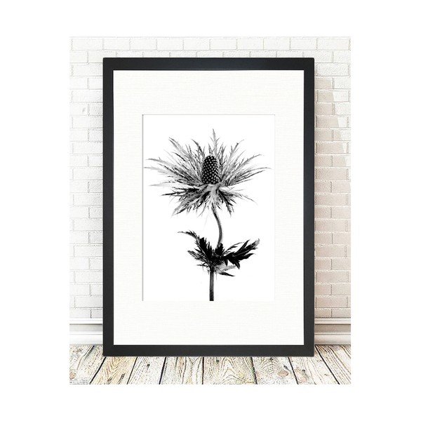 Plakat Tableau Center Thistle Vibes, 24 x 29 cm-image-1