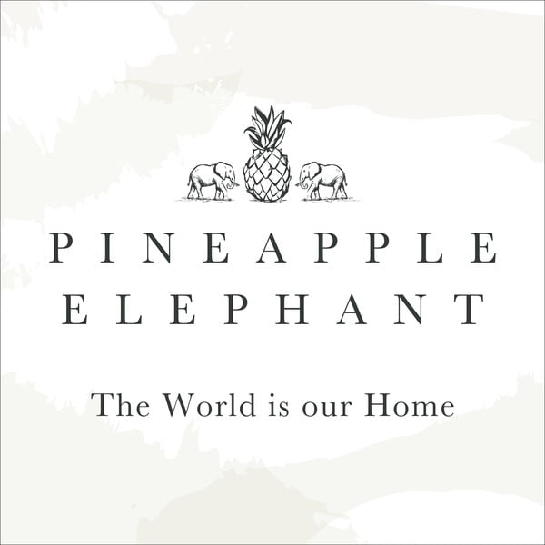 Prevleke za vzglavnik v kompletu 2 ks 50x75 cm Casablanca Pinsonic – Pineapple Elephant-image-3