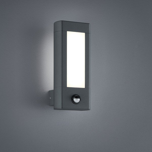 LED stenska zunanja svetilka (višina 28 cm) Reno - Trio-image-1