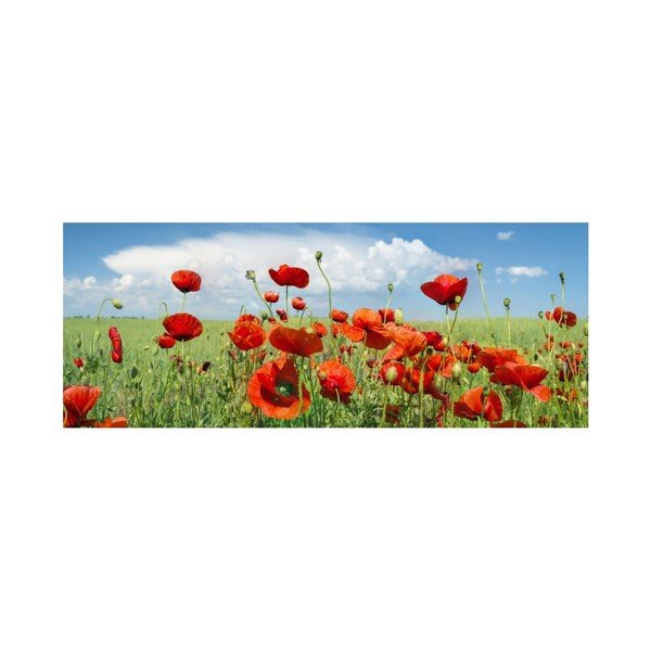Slika na steklo Insigne Saskia, 92 x 36 cm-image-1
