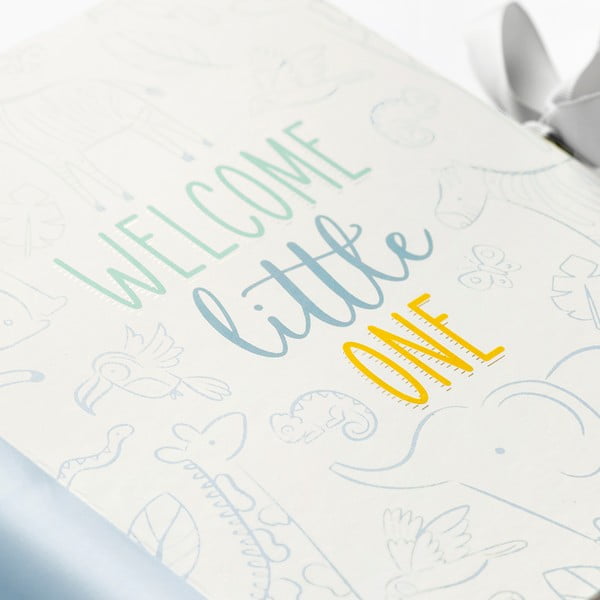 Dojenčkov dnevnik 98 str. Blue – Busy B-image-1