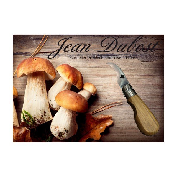 Nož za čiščenje gob Jean Dubost-image-1